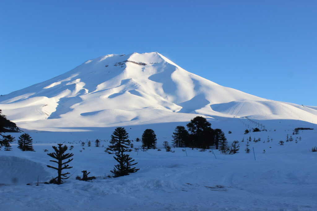 Volcano Lonquimay in Chile is great for backcountry touring