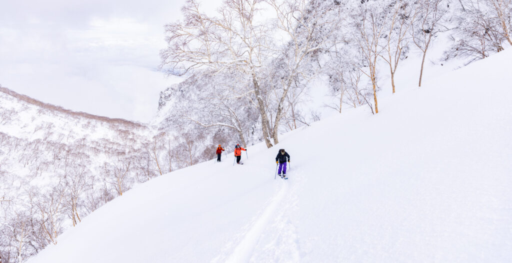 Hakuba lift-assisted backcountry guided tour with PowderQuest