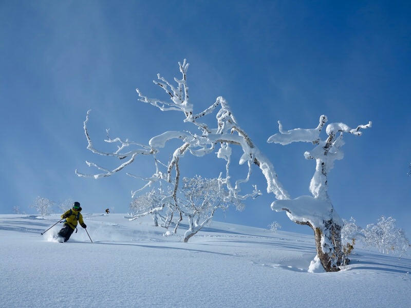 skiing near furano hokkaido