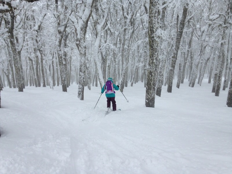 chapelco tree skiing
