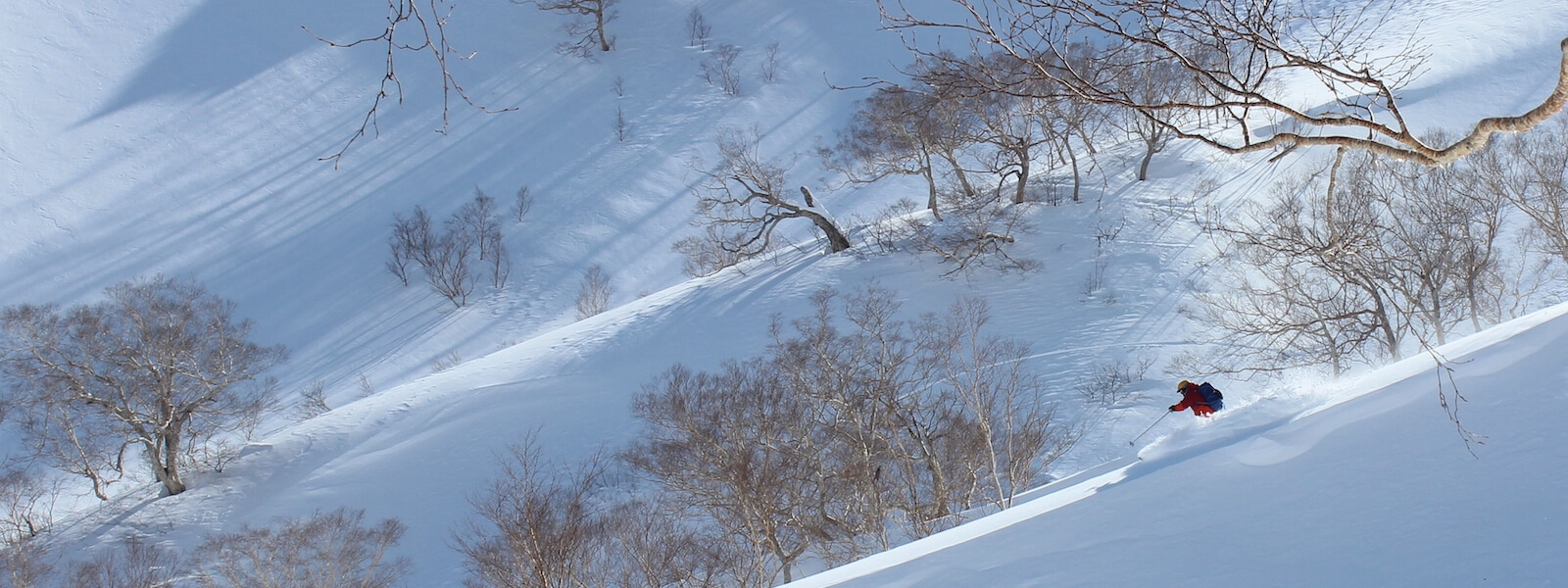 hakuba myoko backcountry skiing tour in Japan