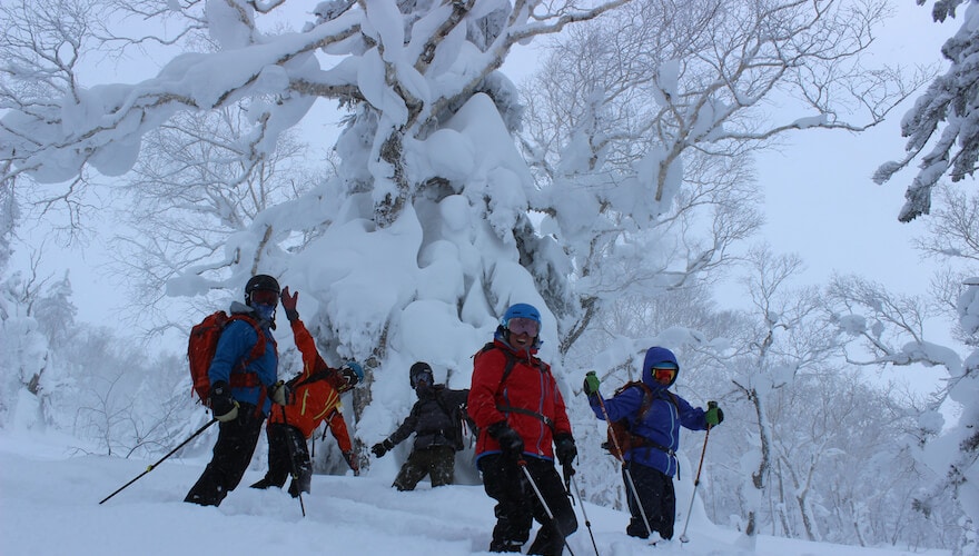 japan ski tours