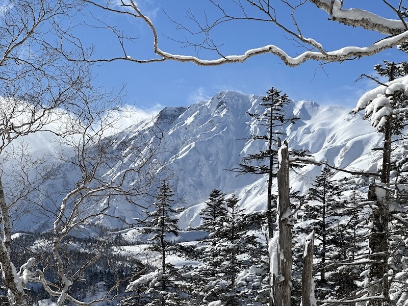 japanese alps tour