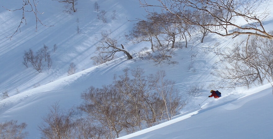 Japan's Myoko backcountry skiiing