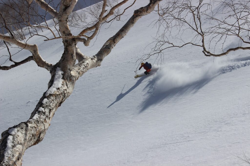 Myoko backcountry skiing with PowderQuest Tours