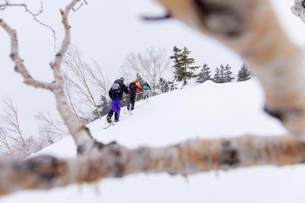 Backcountry ski touring in Myoko Japan with PowderQuest