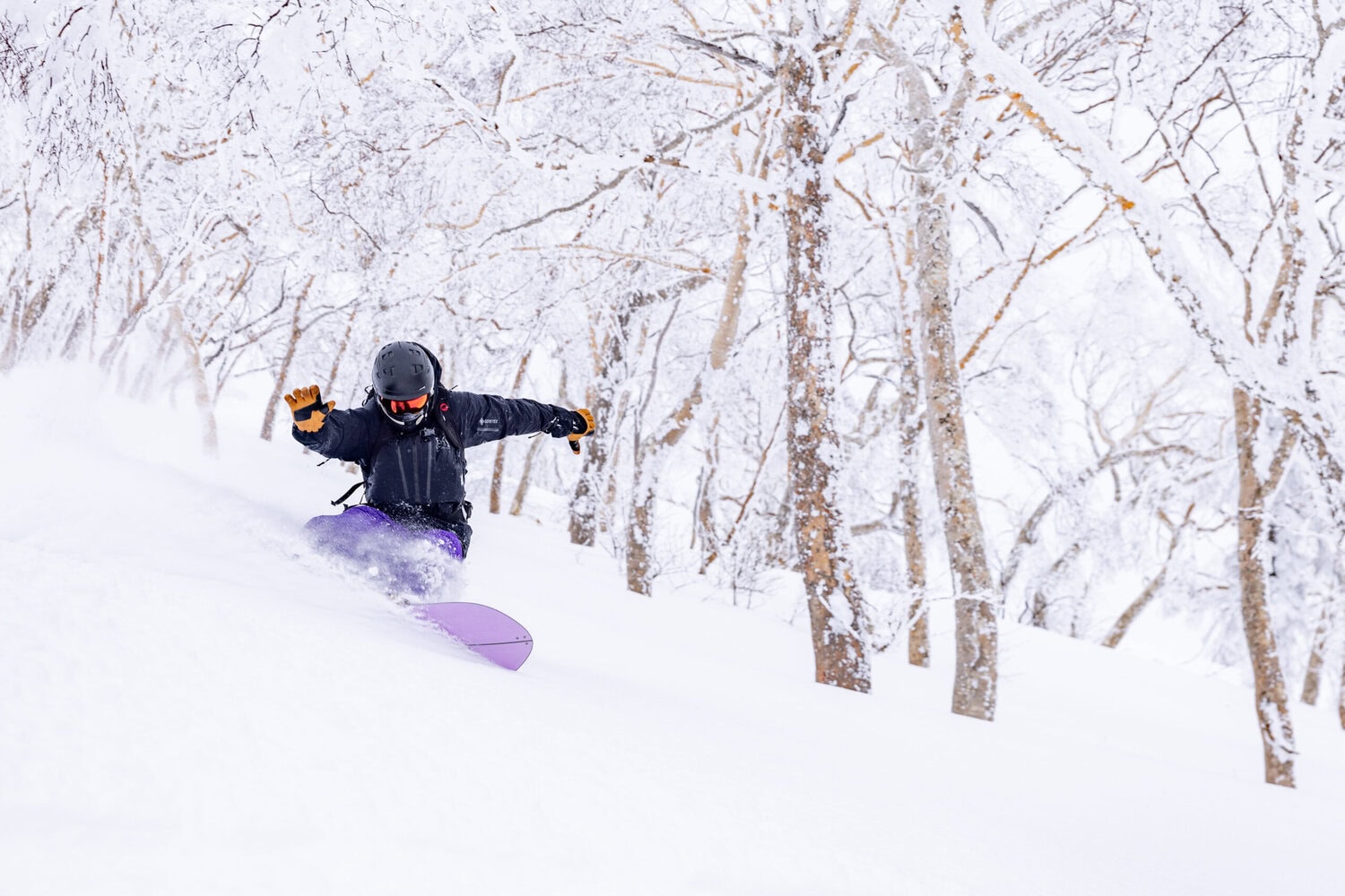 splitboard powder turns myoko Japan