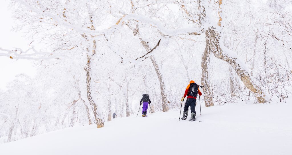 splitboarding tours and trips