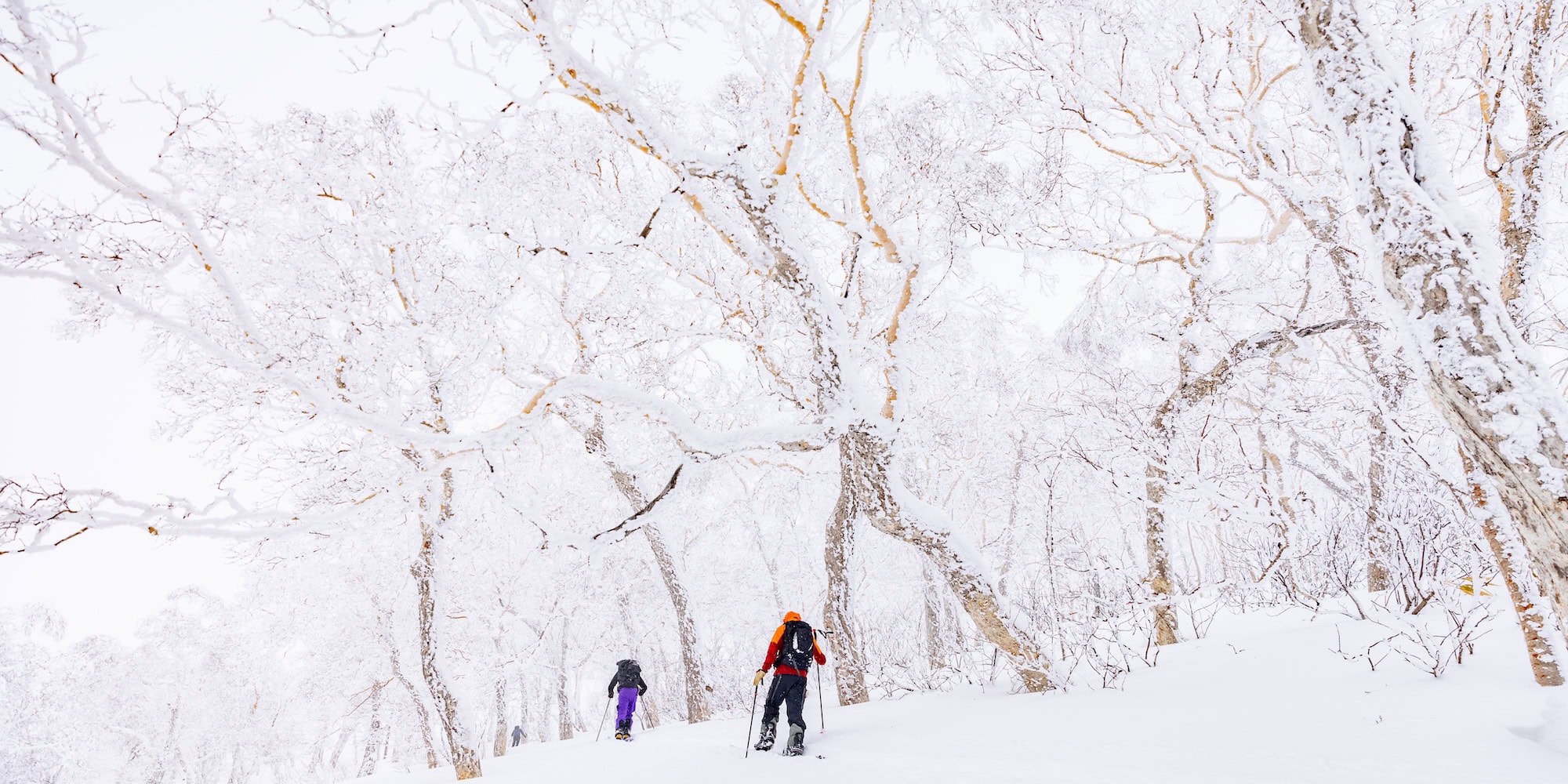 guided splitboarding tours with PowderQuest