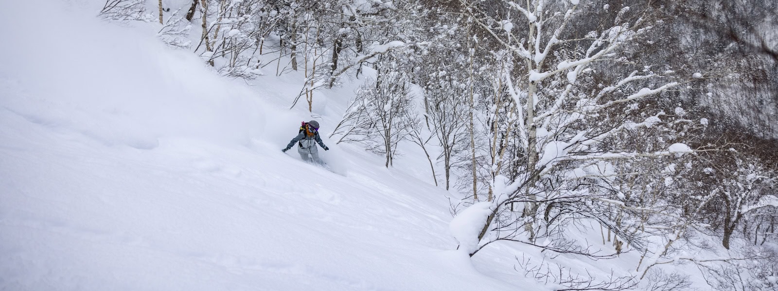Tohoku Backcountry Tour